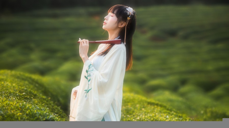 色虎网站在线免费观看色虎网站在线免费观看标准版最新版