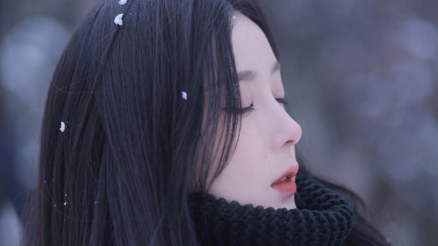 91网91网付费版最新版