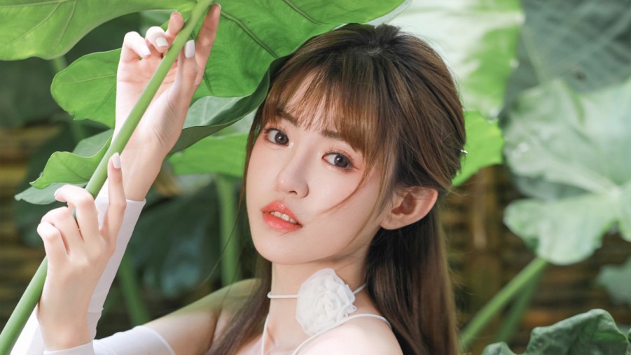 91免费视频网91免费视频网硬盘版最新版